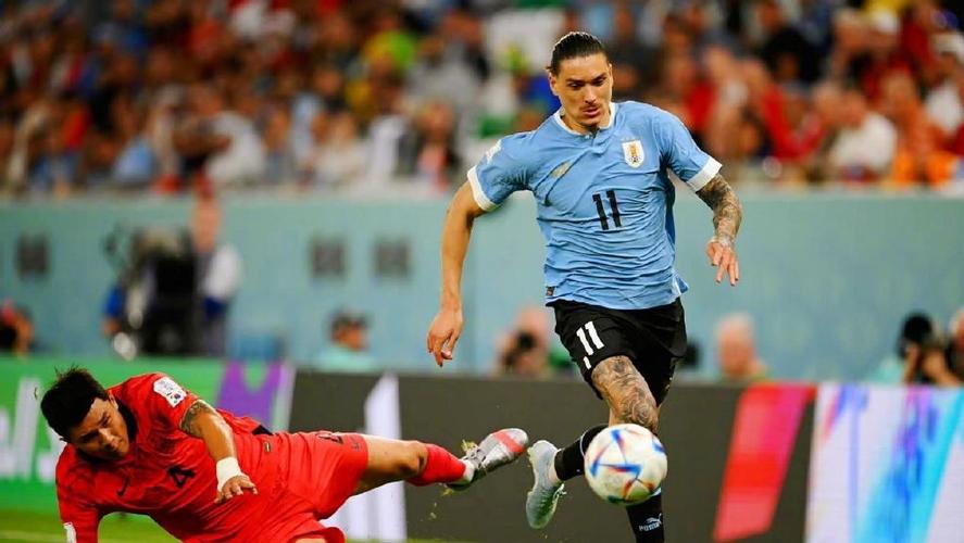 巴拉圭vs葡萄牙分析