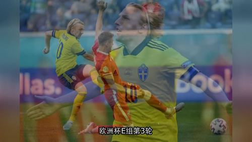 视频直播波兰vs瑞典